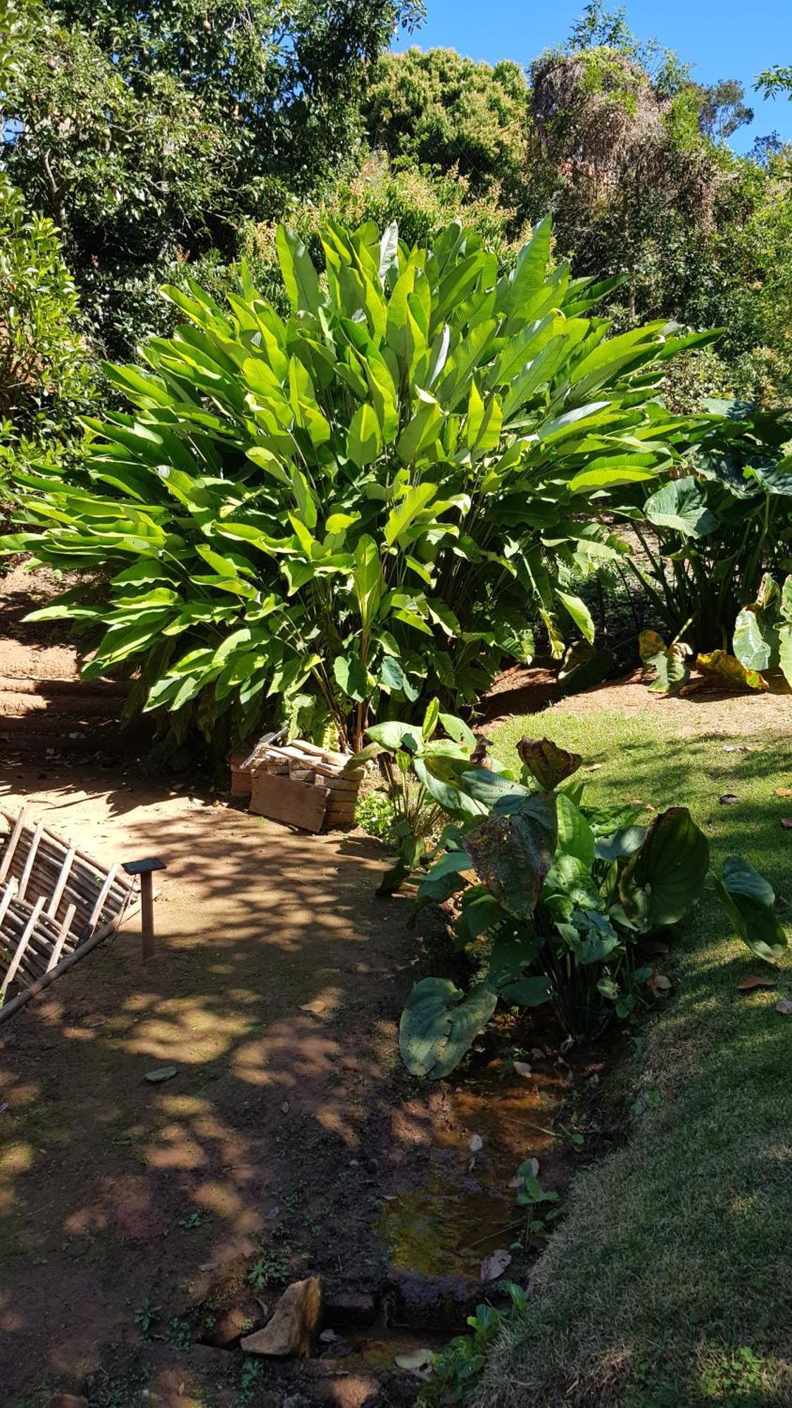 Chales Magia Das Aguas Águas de Lindóia Exterior foto