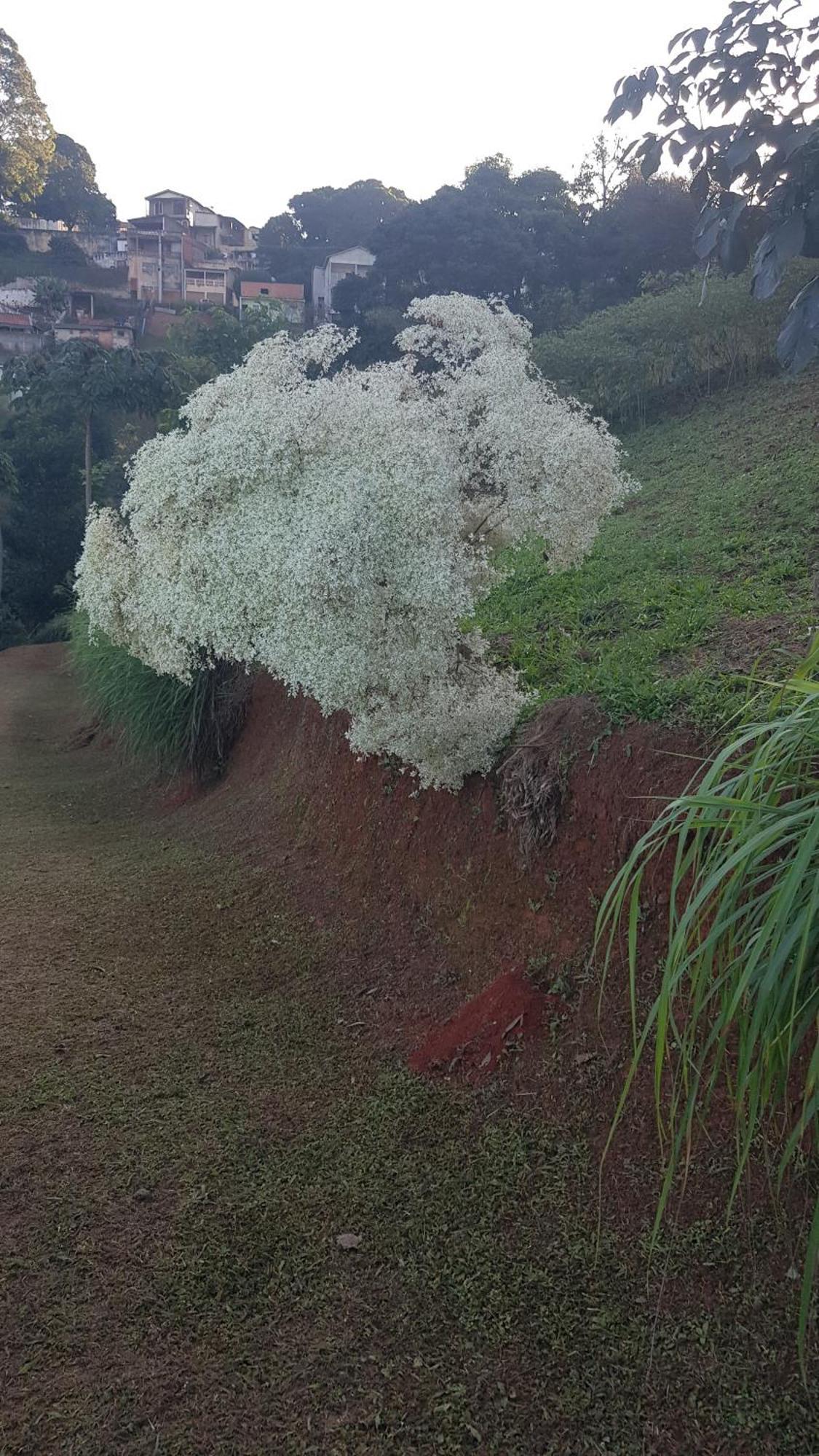 Chales Magia Das Aguas Águas de Lindóia Exterior foto